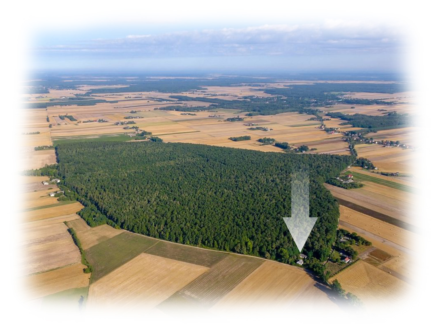 Leśniczówka, dom na wynajem, agroturystyka, okolice Nagłowic, Sędziszowa i Szczekocin, świętokrzyskie